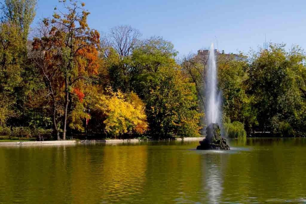 Central Park Bukarest Værelse billede