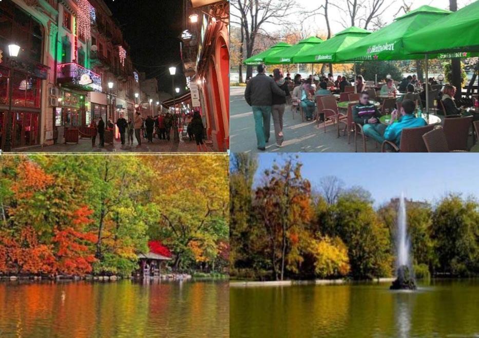 Central Park Bukarest Værelse billede